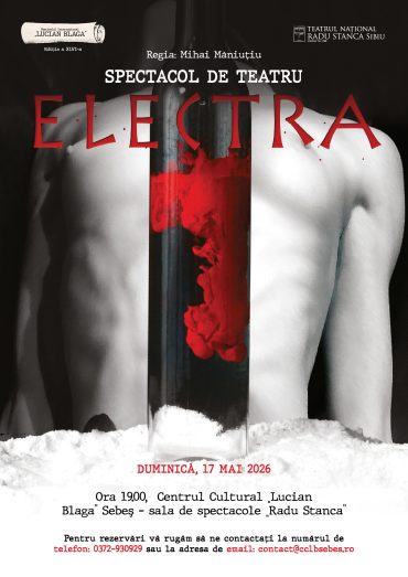Electra_festival_afis