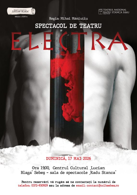Electra_festival_afis